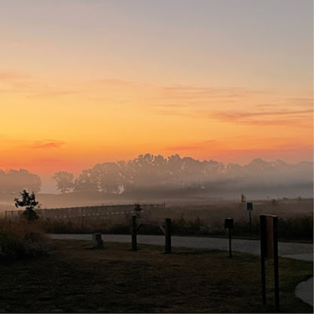 Meet your Posher, Arshad